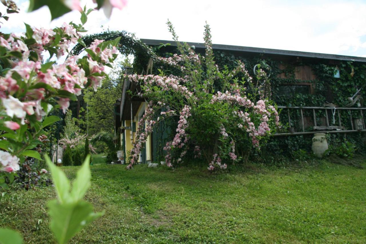 Chalet Damtschach Holiday home Damtschach